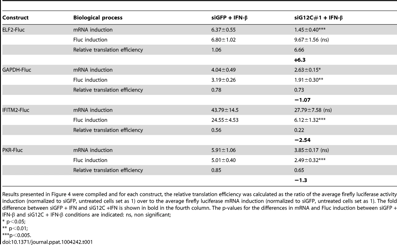 Summary of mRNA induction, protein induction and translation efficiency for each Fluc reporter construct.