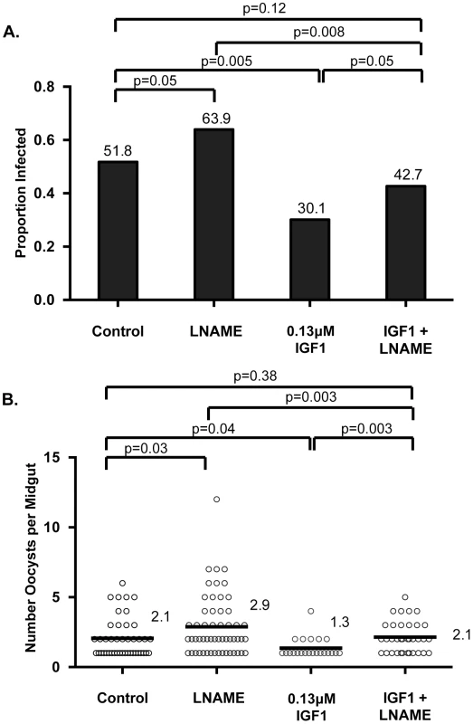 IGF1-induced resistance to <i>P. falciparum</i> was reversed by NOS inhibition.