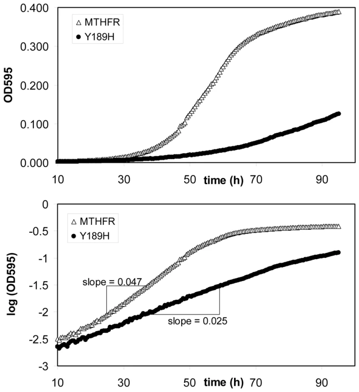 Example growth curves from which rate metrics were calculated.