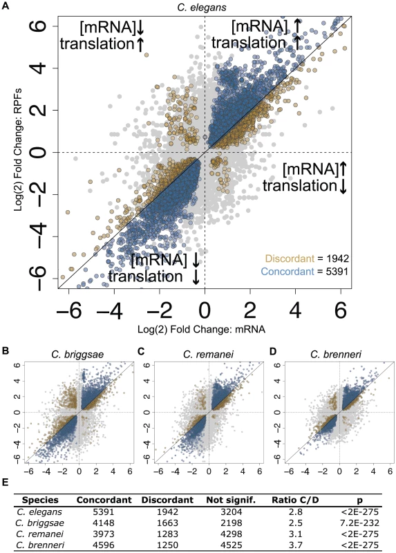 Changes in translation efficiency and mRNA abundance tend to act cooperatively.