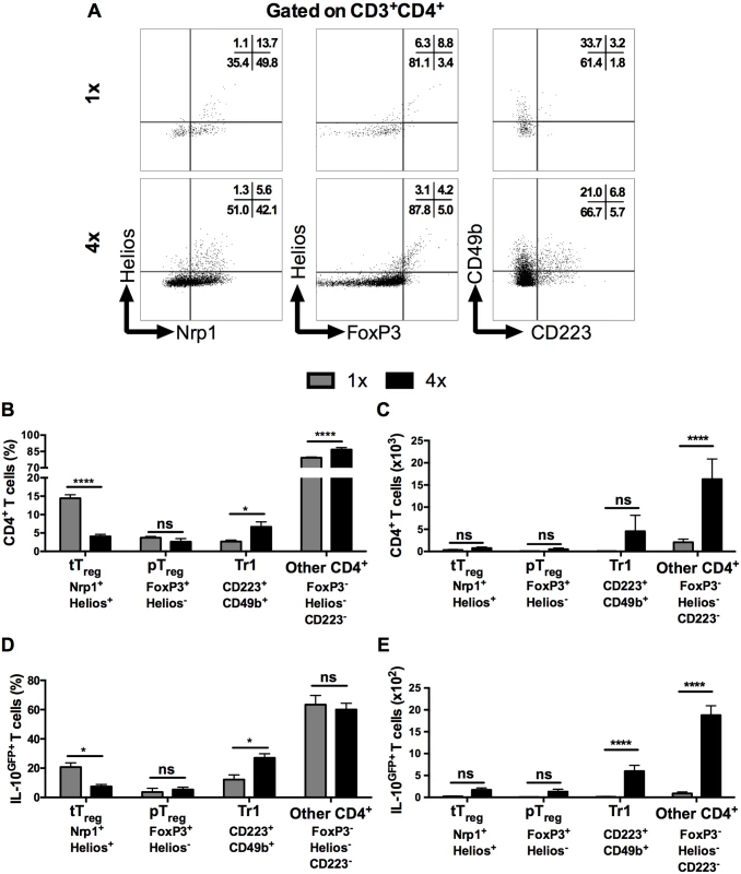 IL-10 producing dermal CD4<sup>+</sup> cells do not express markers of conventional regulatory T cells.