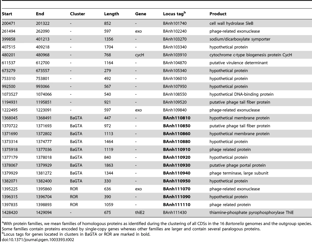 Genes of <i>B. australis</i> belonging to the 22 protein families<em class="ref">a</em> that are novel in <i>Bartonella</i> and retained in all genomes examined here.
