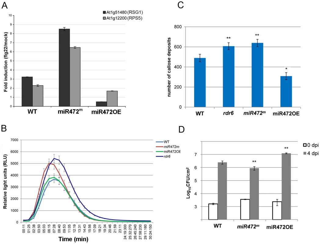 <i>MiR472</i> negatively regulates PTI responses and resistance against virulent <i>Pto</i> DC3000.