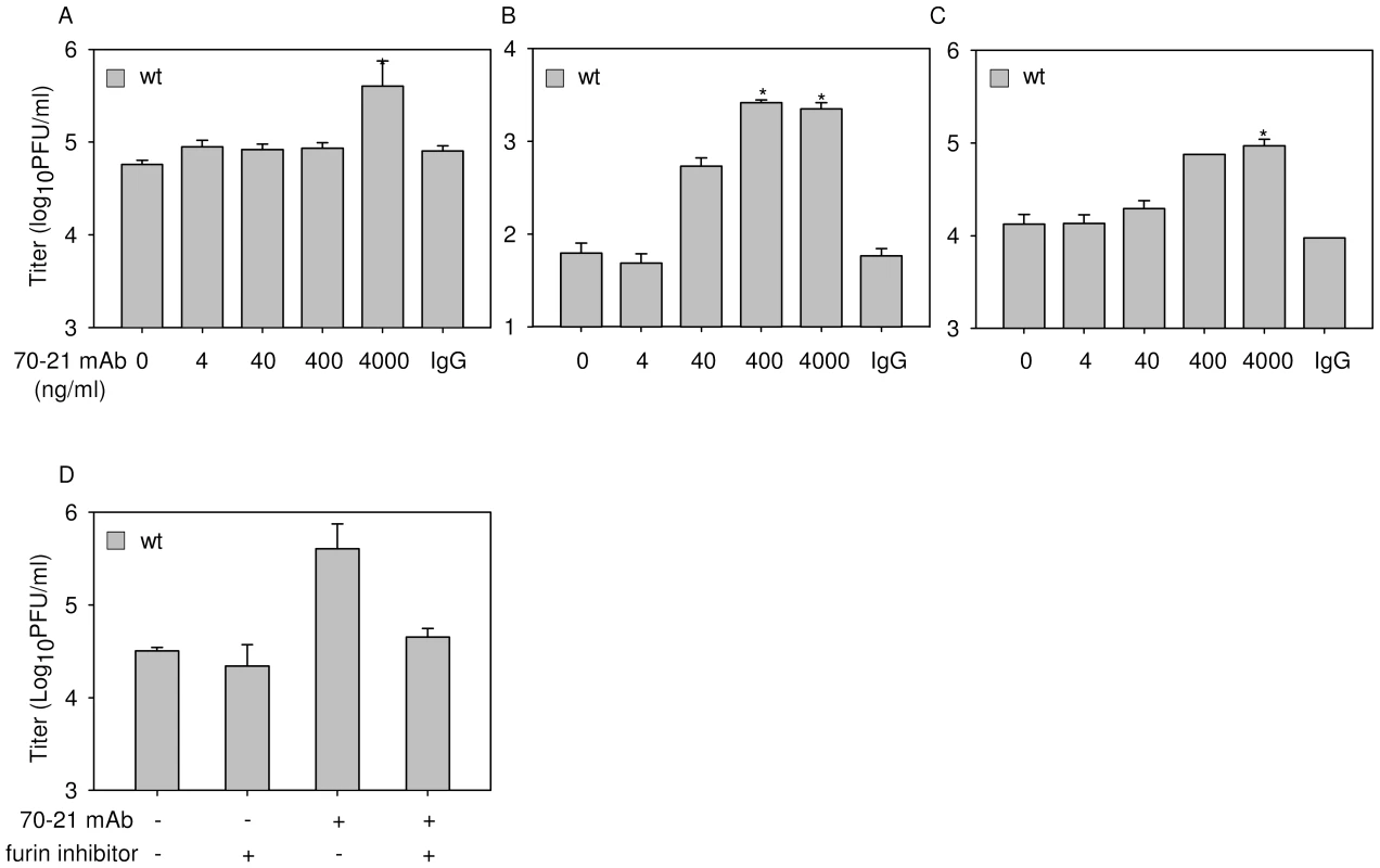 prM-specific antibody 70–21 enhances infectivity of wild-type DENV in a furin-dependent manner.