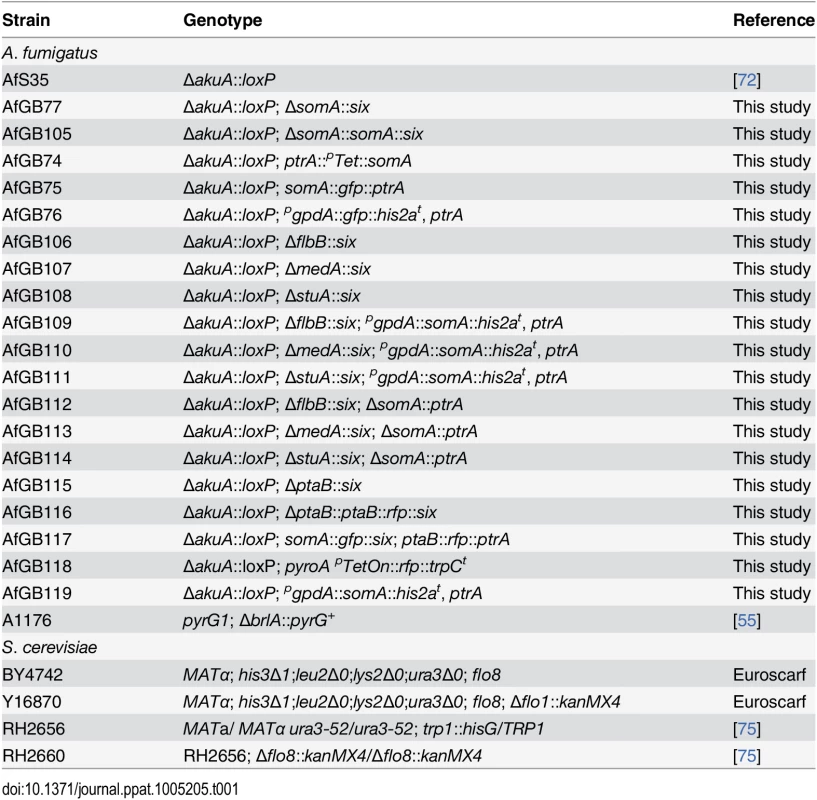 Fungal strains used in this study.