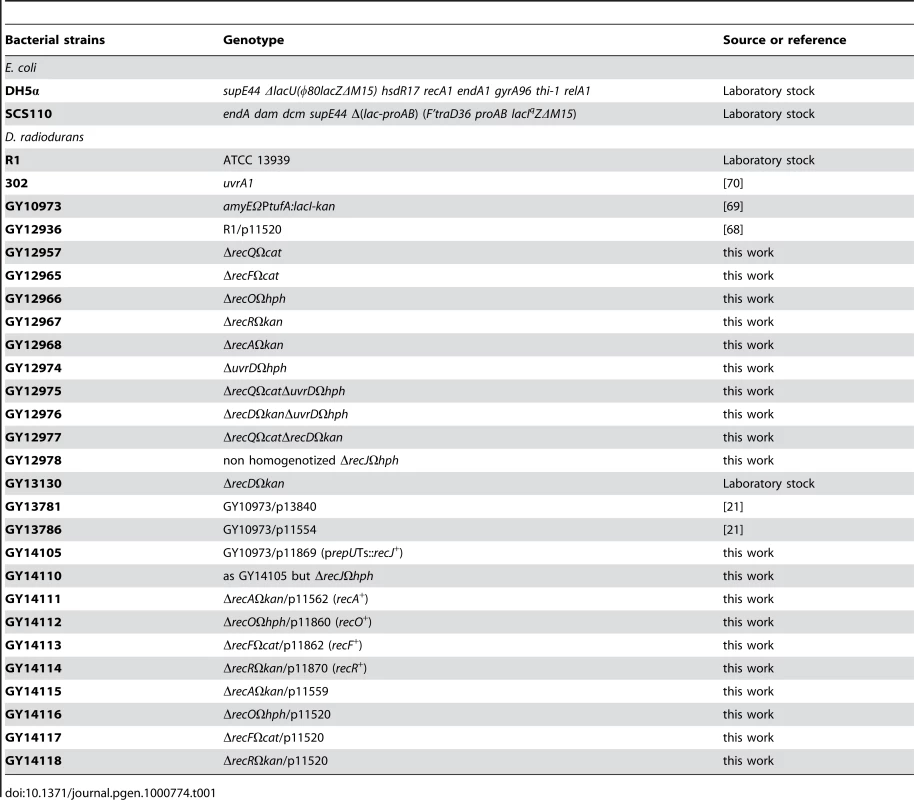 Bacterial strains.