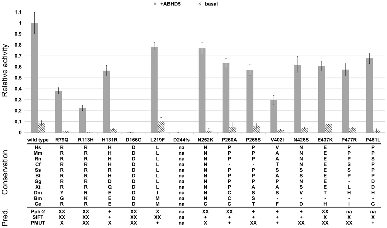 Relative triglyceride hydrolase activities, conservation, and bioinformatic predictions.