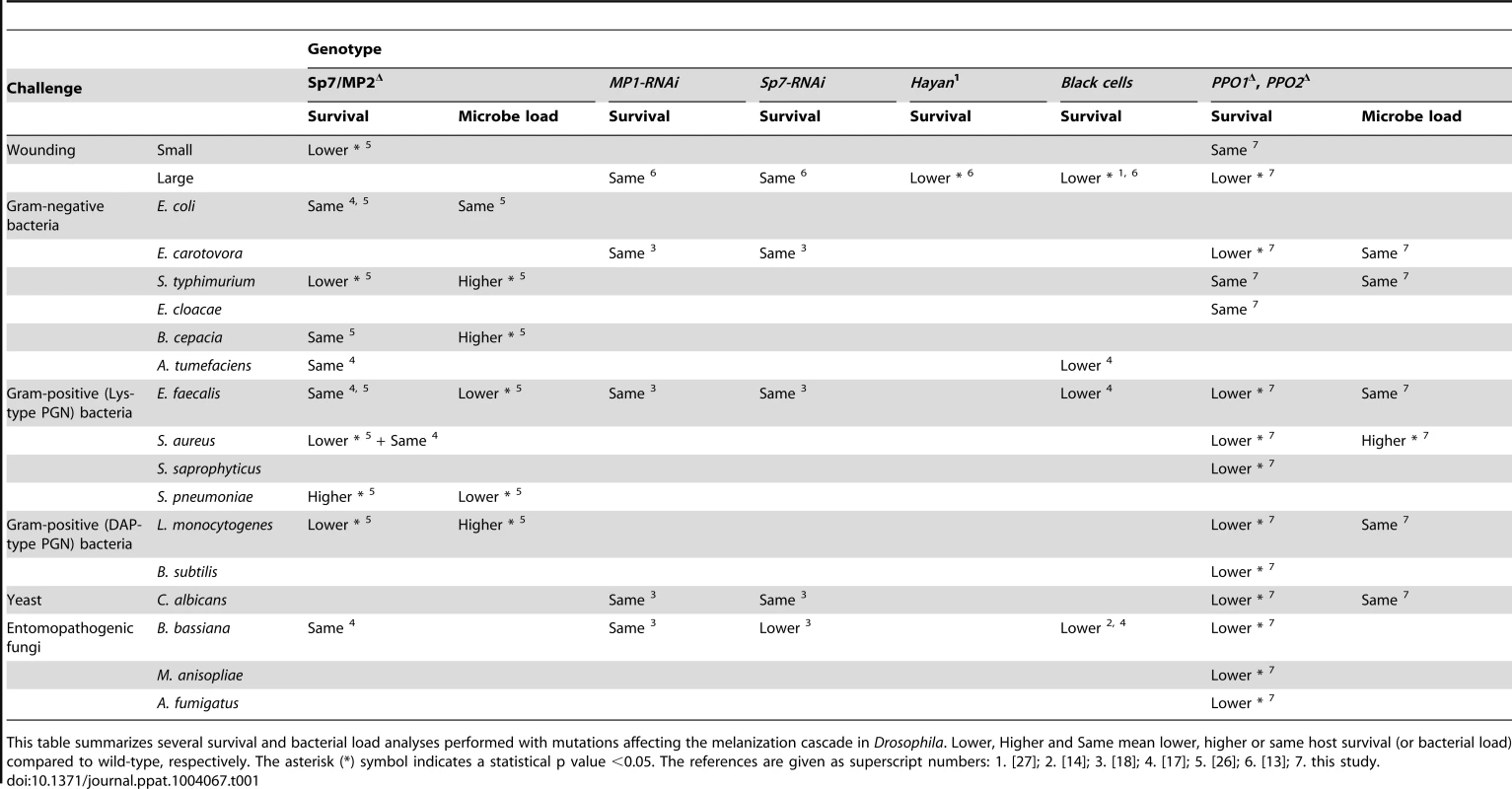 Contribution of melanization to survival and microbial infection.