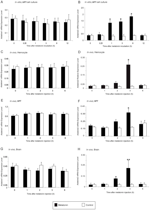 AST2 expression is induced by melatonin treatment <i>in vitro</i> and <i>in vivo</i>.