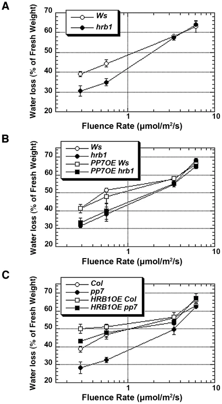 HRB1 action requires a functional PP7 during water loss.