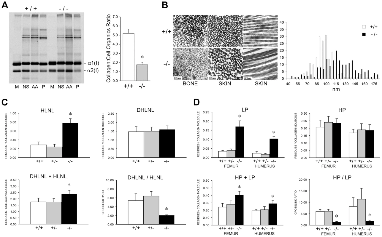Dysregulation of collagen deposition and fibril assembly.