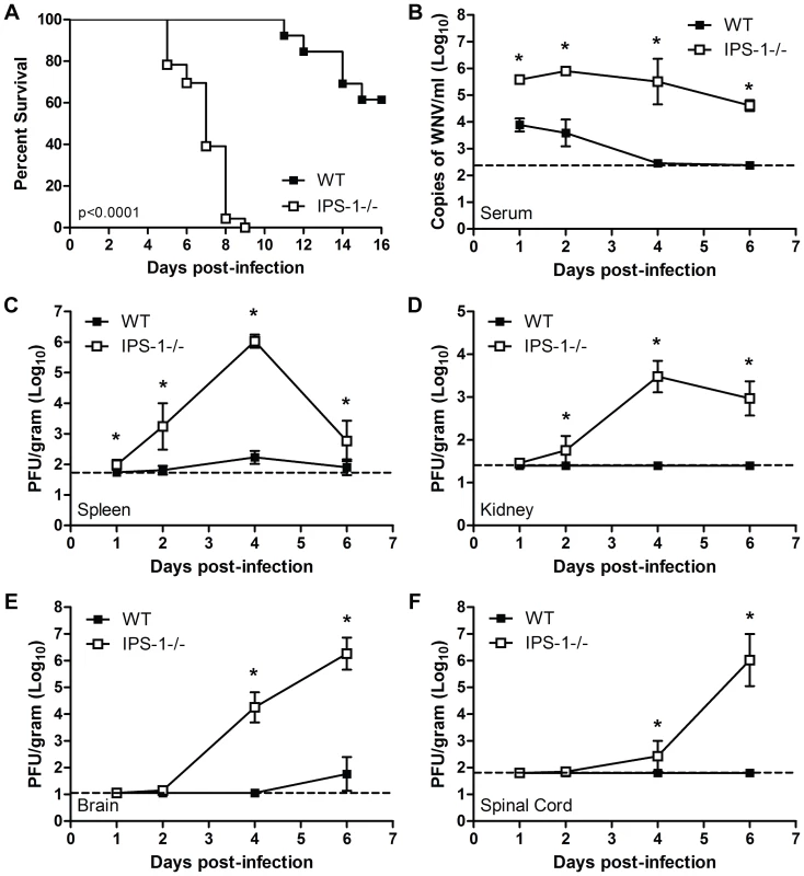 Virologic analysis in wild type and IPS-1<sup>−/−</sup> mice.
