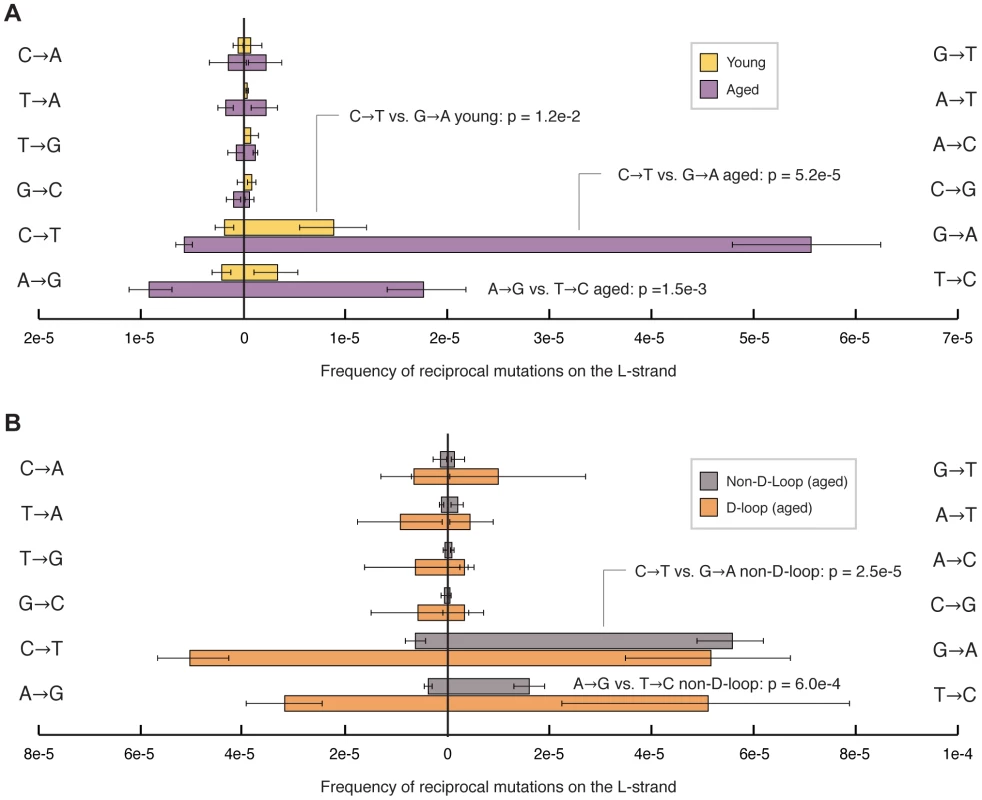Transition mutations show a pronounced strand bias in their occurrence.