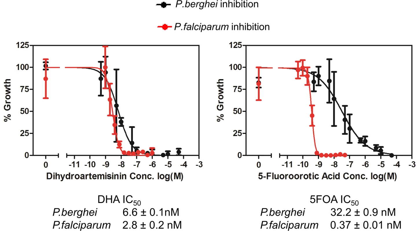 <i>P</i>. <i>berghei</i> and <i>P</i>. <i>falciparum</i> inhibition by dihydroartemisinin (DHA) and 5-fluoroorotic acid (5FOA) <i>in vitro</i>.