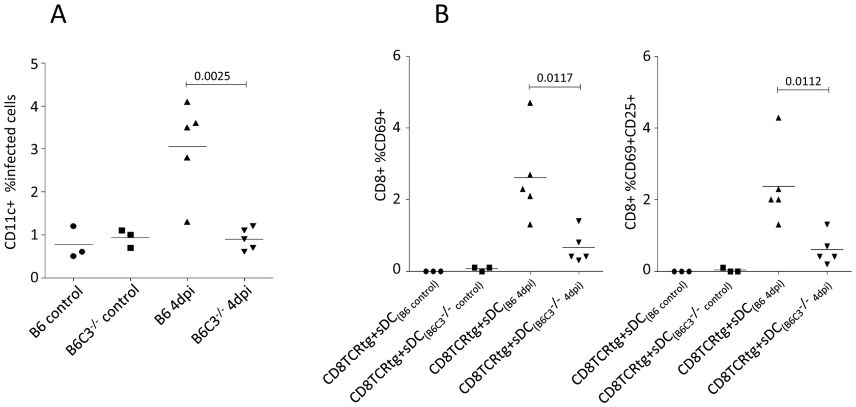 Spleen DCs from FV-infected C3-deficient mice show an impaired capacity to induce FV-specific CTL.