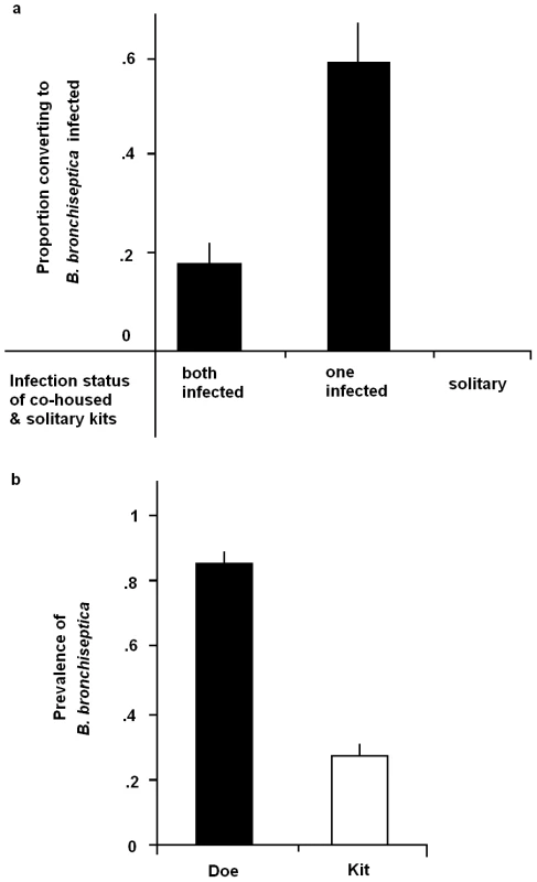 Sibling and maternal infection routes.