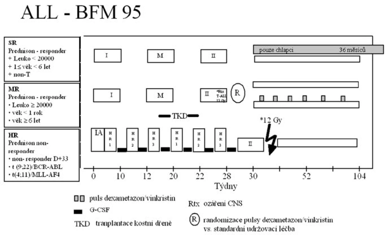 Protokol ALL-BFM 95.