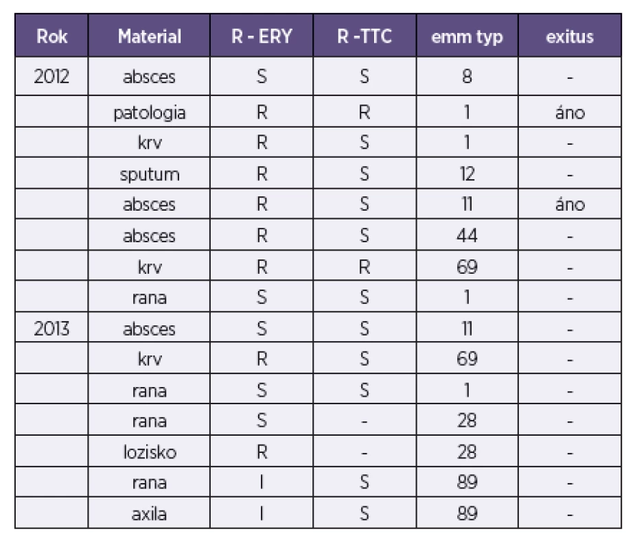 Charakteristika kmeňov S. pyogenes s vyšetrenými emm typmi (n = 15)
Table 1. Charakteristika kmeňov S. pyogenes s vyšetrenými emm typmi (n = 15)