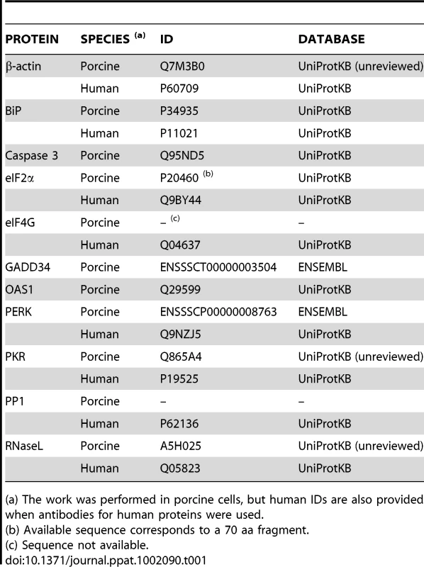 Accession numbers of proteins mentioned in the text.