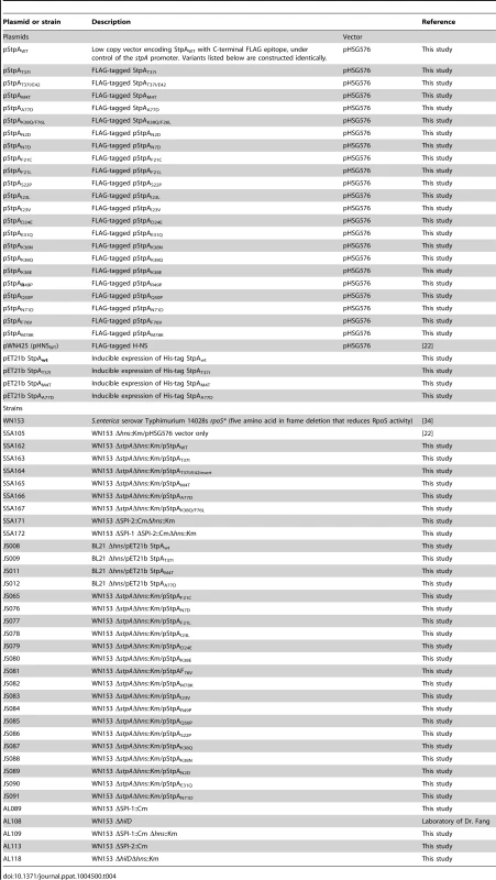 Plasmids and strains used in this study.