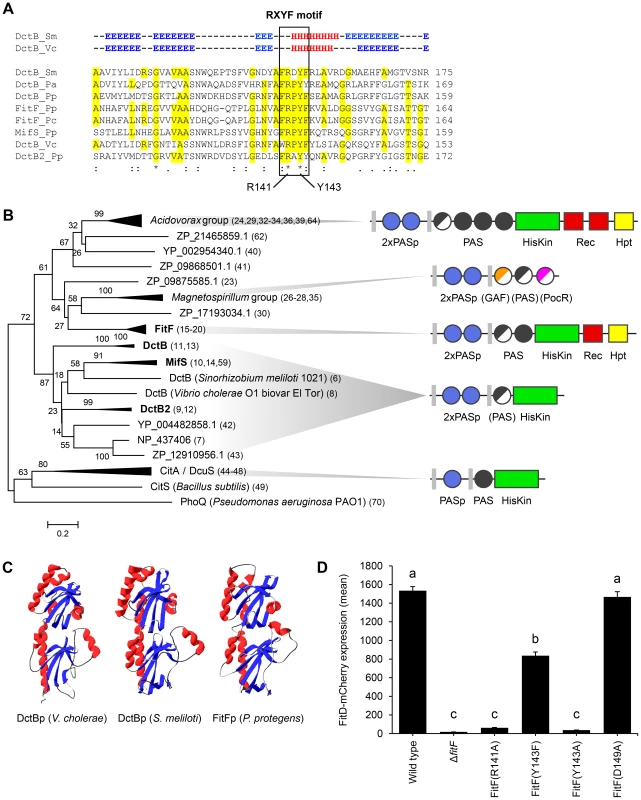 FitFp is homologous to the periplasmic DctB-like sensor domain.