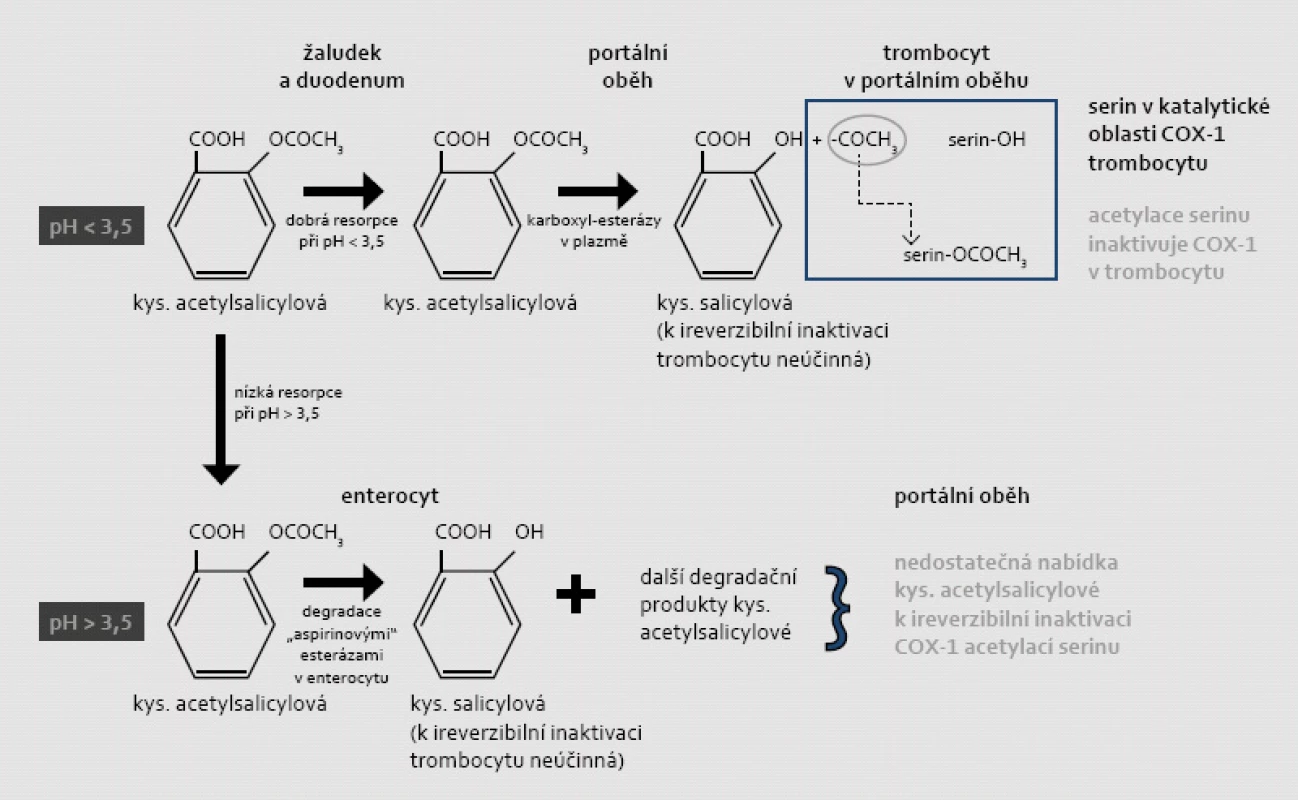 Mechanizmus ireverzibilní inaktivace COX-1 v trombocytu a závislosti tohoto procesu na vstřebávání a degradaci kyseliny acetylsalicylové v žaludku či ve střevě (při různém pH). Acetylsalicylová kyselina jako slabá hydrofilní kyselina se vstřebává zejména v nedisociovaném stavu. Při hodnotě disociační konstanty pKa = 3,5 se ASA spolehlivě resorbuje v kyselém prostředí (při pH < 3,5), tj. v žaludku či v proximálním duodenu. Není-li kyselina acetylsalicylová vstřebána v žaludku, je ve střevě deacetylována „aspirinovými“ esterázami na kyselinu salicylovou (lipofilní molekulu),  která se již dobře resorbuje ve střevě. Salicylová kyselina také snižuje aktivitu COX-1 a COX-2, ale tato inhibice je jen krátkodobá a reverzibilní. Její protidestičkový účinek není doložen. Vzhledem k dominující degradaci ASA ve střevě je resorpce v prostředí pH > 3,5 nepředvídatelná a předpokládá se, že koncentrace v portálním oběhu je pod účinnou hladinou. Za fyziologických podmínek při dostatečné resorpci ASA v kyselém prostředí dochází k acetylaci COX-1 ještě v portálním oběhu; v játrech je totiž rozhodující část ASA degradována na kyselinu salicylovou.