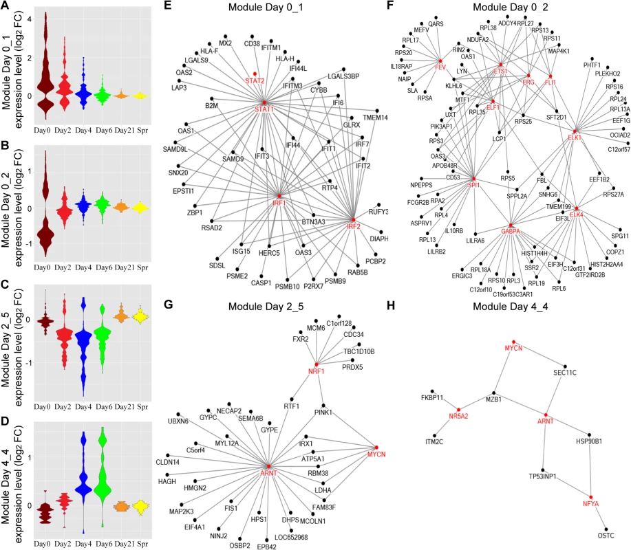 TF networks within the WGCNA modules over the course of influenza illness.