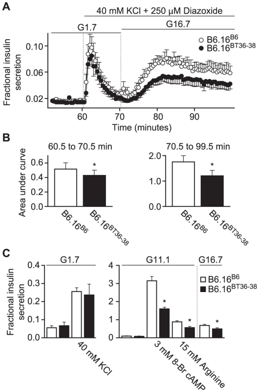 Impaired insulin secretion in islets isolated from the B6.16<sup>BT36–38</sup> mice.