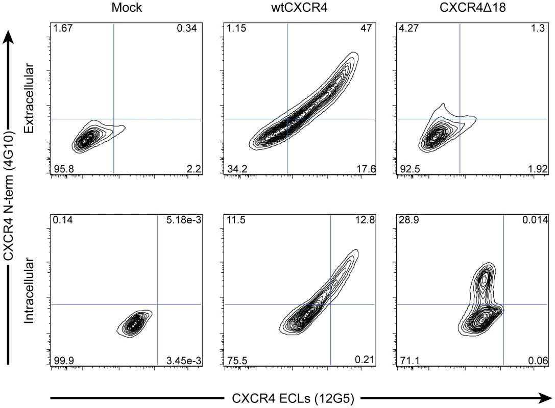 X4-ZFNs preferentially generate in-frame deletions resulting in the absence of CXCR4 cell surface expression.