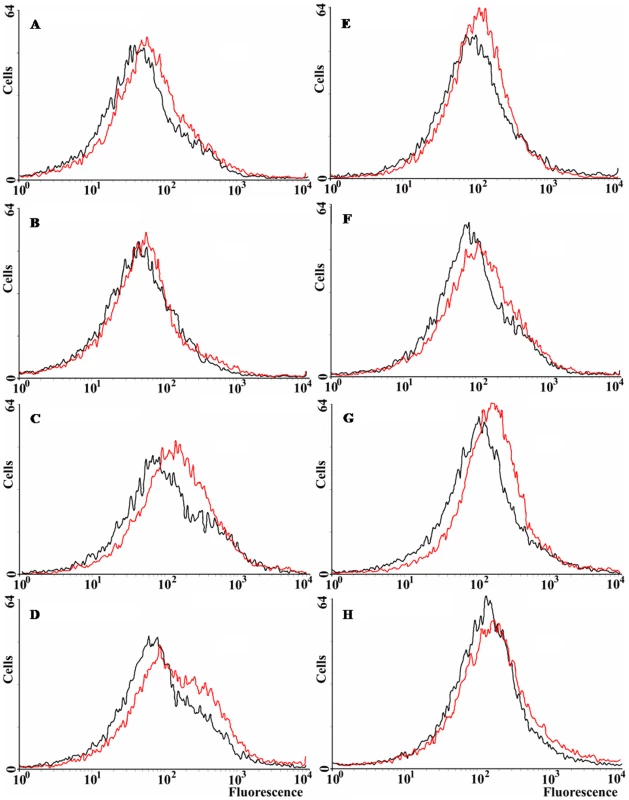 ROS levels in <i>E. coli</i> wild-type and <i>norM</i>, <i>mutT</i> and <i>sodB</i> derivatives.