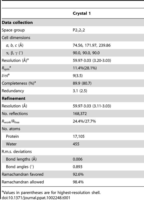 Data collection and refinement statistics (molecular replacement).
