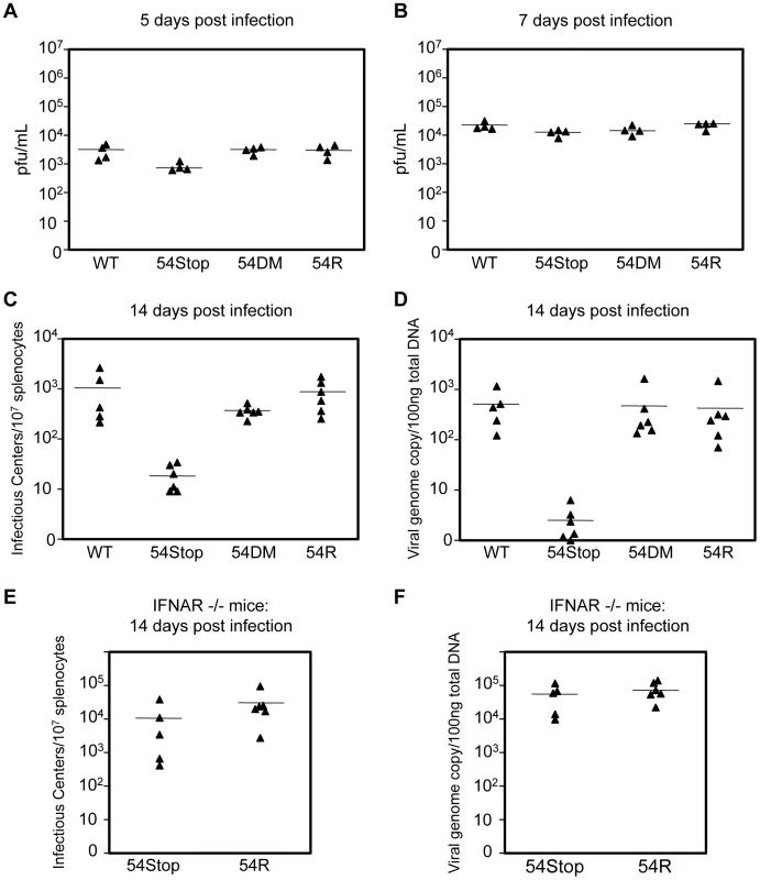 ORF54 non-dUTPase function is essential for establishment of latency <i>in vivo</i>, but not lytic infection.