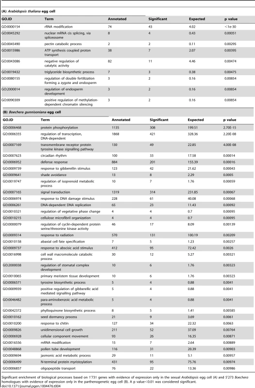 Gene ontology analysis on sexual and parthenogenetic egg cells of <i>Arabidopsis</i> and <i>Boechera</i>, respectively.