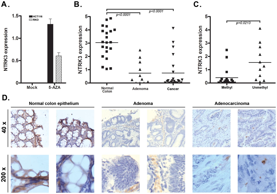 <i>NTRK3</i> methylation correlates with reduced <i>NTRK3</i> mRNA expression.