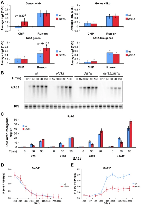 The absence of Pfd1 causes alterations in the intragenic distribution of RNA polymerase II.