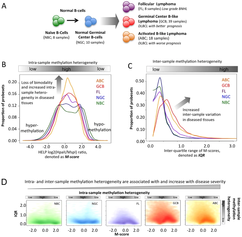 Methylation variation in normal and lymphoma samples.