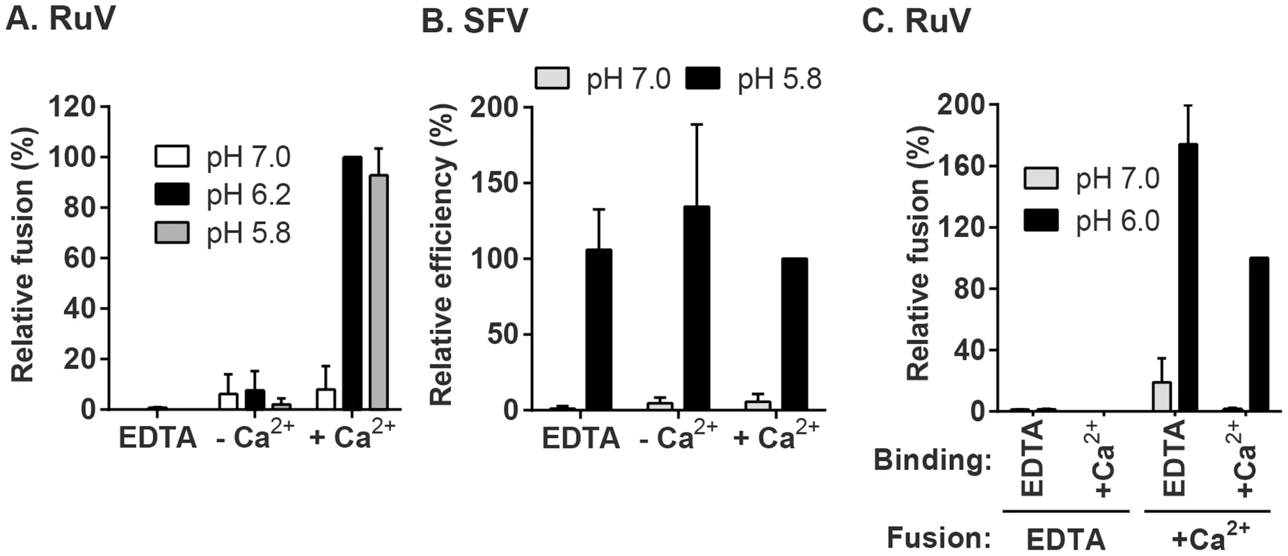 Effect of Ca<sup>2+</sup> on RuV fusion.
