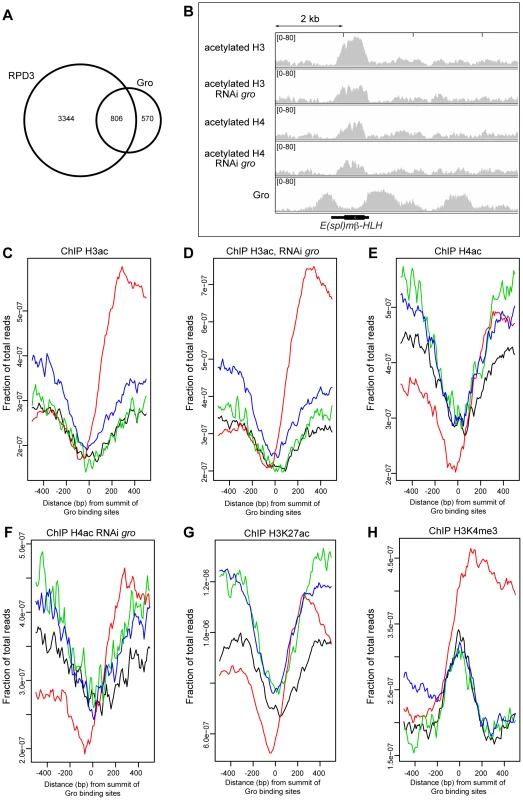 Relationship between Gro recruitment and acetylation status of histones H3 and H4.