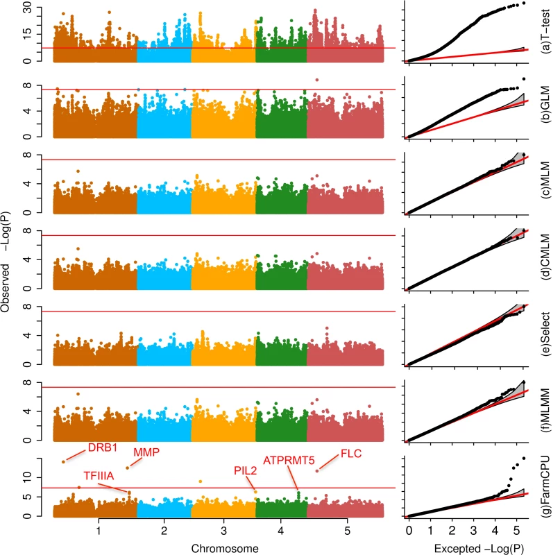 Association studies of flowering time in <i>Arabidopsis thaliana</i>.