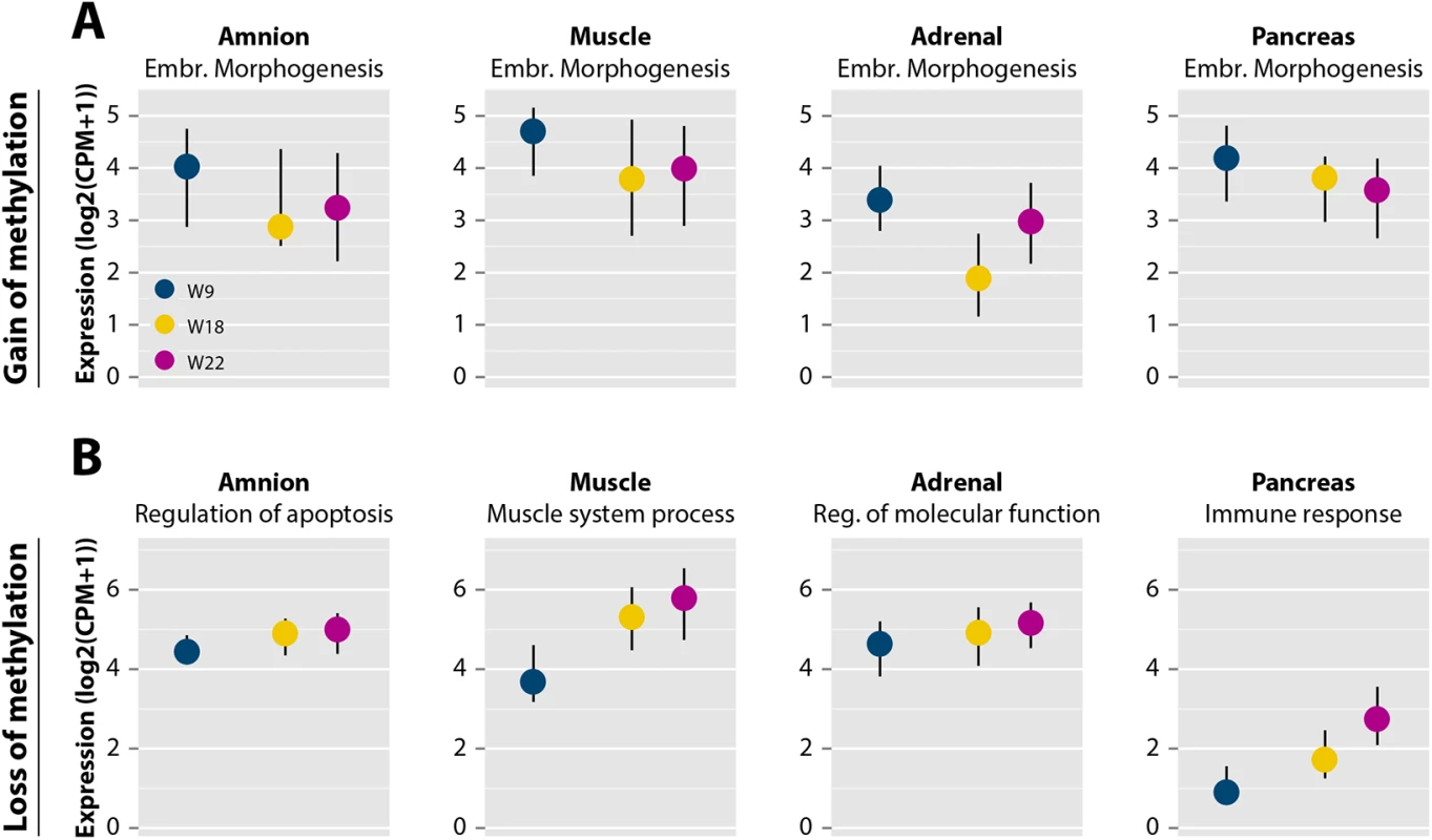 DNA methylation dynamics are accompanied by changes in gene expression.