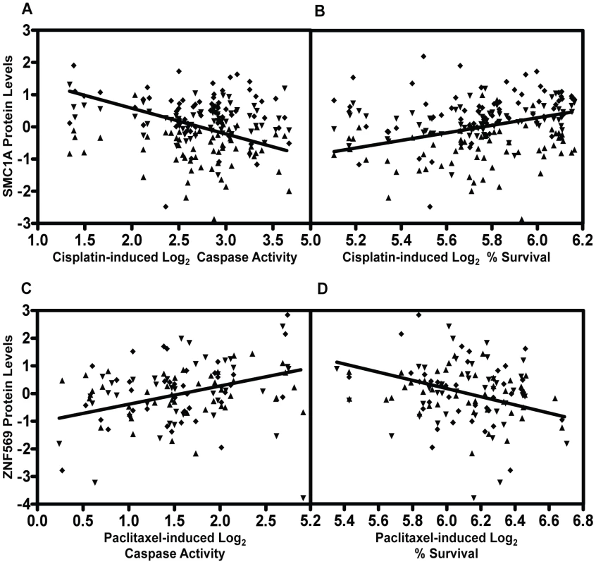 Genetic variants relevant in chemotherapeutic response implicated through protein effects.