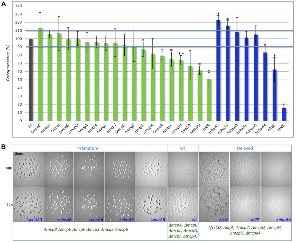 Motility and fruiting body formation defects of <i>Δmcp</i> and <i>ΔcheA</i> mutants.
