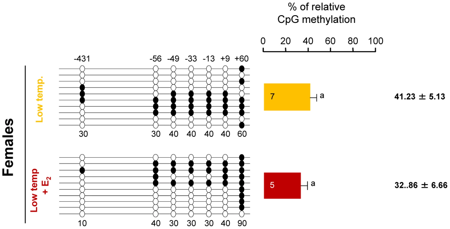 Effects of estradiol-17ß treatment on sb <i>cyp19a</i> promoter methylation in one-year-old sea bass.