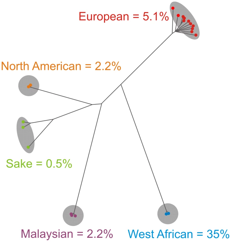 Reconstructing the phenotypic history of <i>S. cerevisiae</i>.