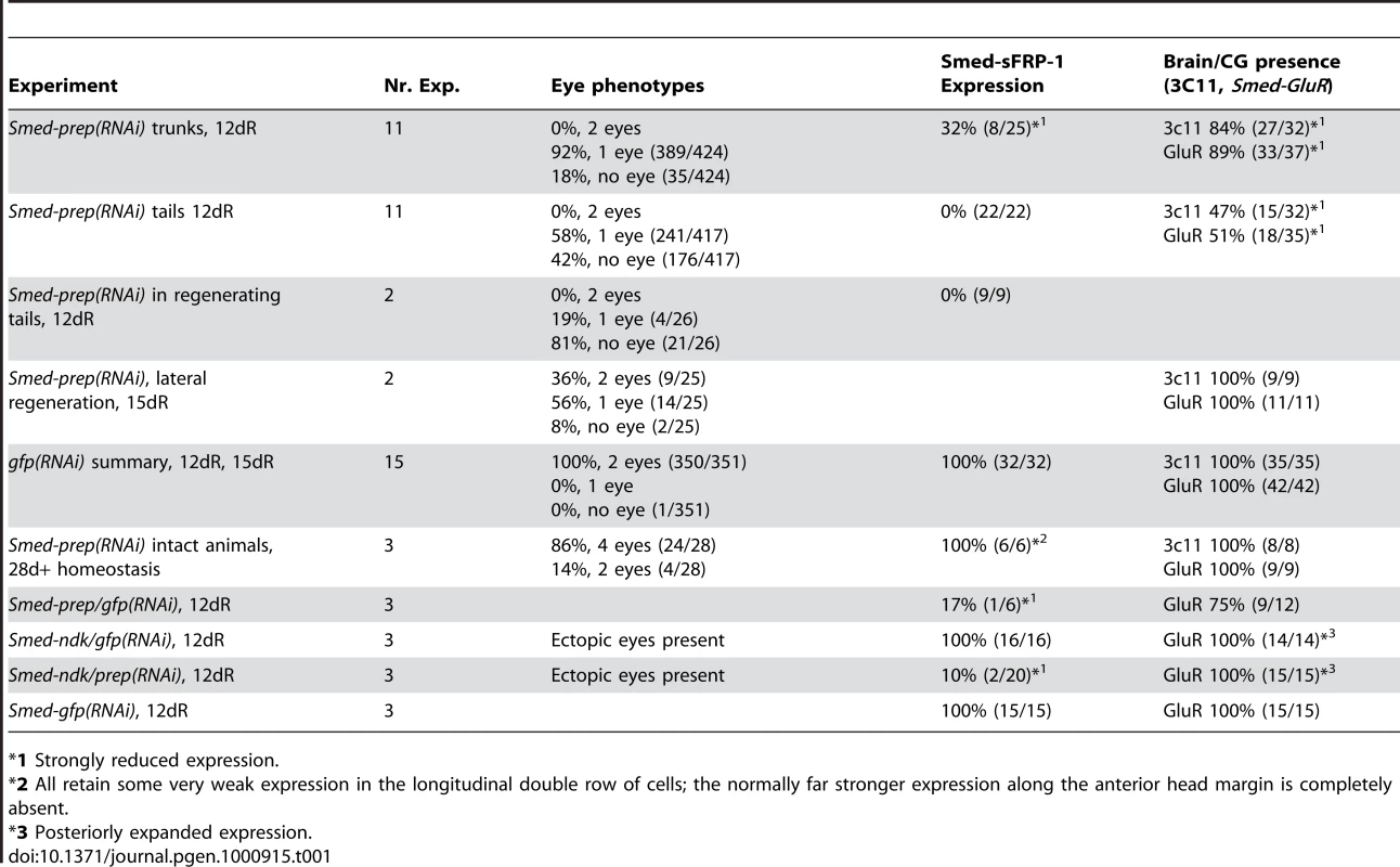 Summary of phenotypes for <i>Smed-prep(RNAi)</i> experiments.