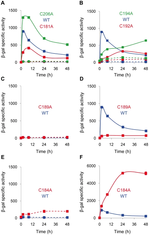 Expression of <i>cuoB</i> in strains harboring point mutations in the CRD region of CorE.