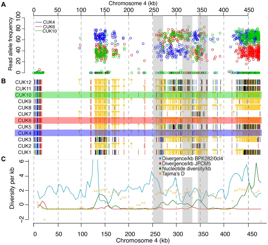 Changes in SNP coverage depth pinpoint recombination breakpoints.