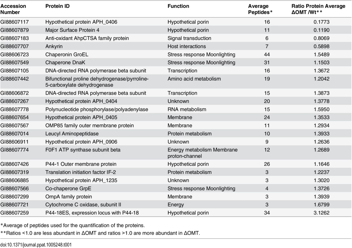 <i>A</i>. <i>phagocytophilum</i> HZ proteins that are differentially abundant in the ΔOMT, according to iTRAQ results.