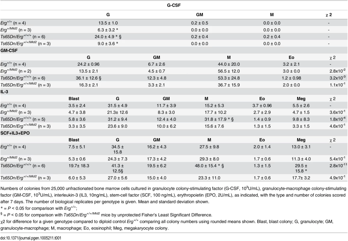 Hematopoietic progenitor abnormalities in Ts65Dn(17<sup>16</sup>) bone marrow by semi-solid agar clonogenic colony assays.