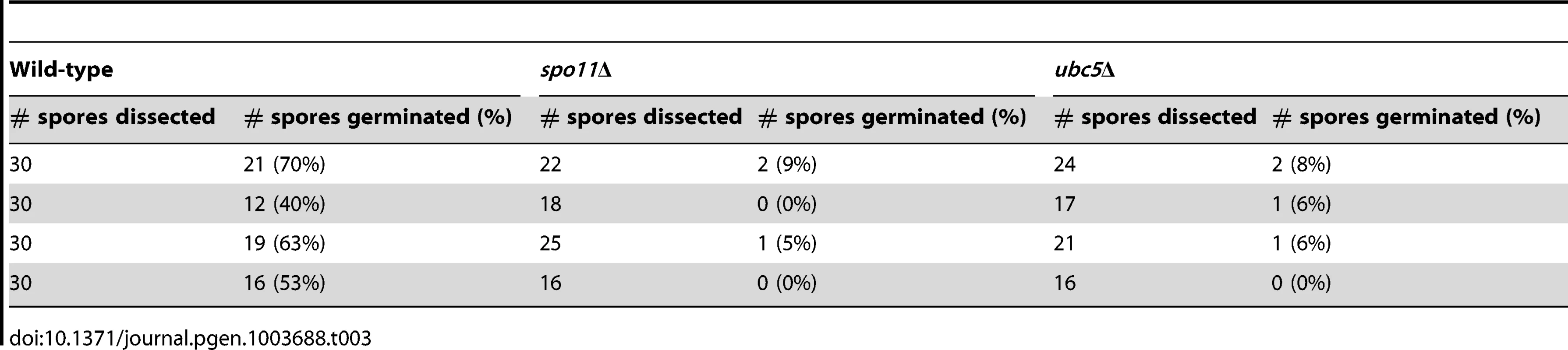 Viability of wild type, <i>spo11</i>Δ, and <i>ubc5</i>Δ unisexual reproduction progeny.